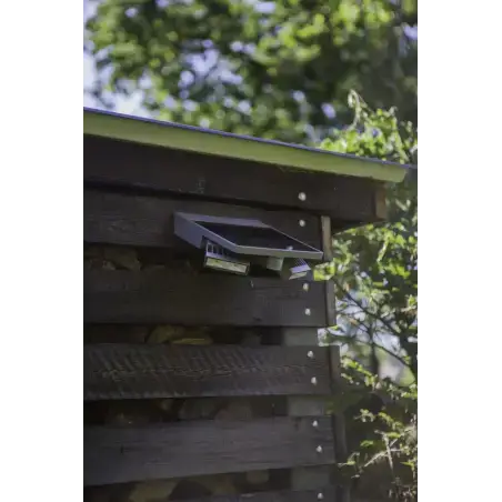 LUTEC Tilly Solar LED væglampe med sensor, 4W