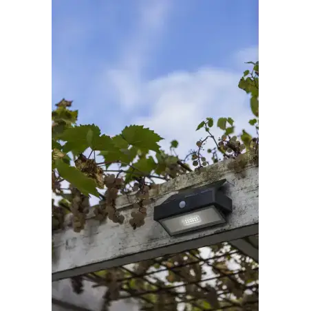 LUTEC Arrow LED væglampe, mørkegrå solcelle med sensor 2,3W