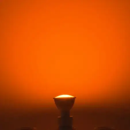 LUTEC LED pærer, White and Color Ambiance GU10