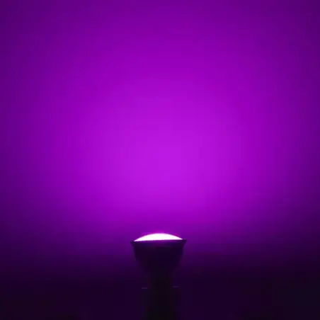 LUTEC LED pærer, White and Color Ambiance GU10