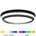 LUTEC Cepa Large SMART-LED loft lampe, White and Colour Ambiance, Sort