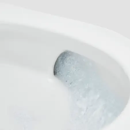 Inkl. montering, Roca Inspira douchetoilet, m/ integreret cisterne, hvid