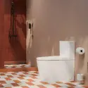 Pressalit SMART gulvstående douchetoilet, inkl. sæde
