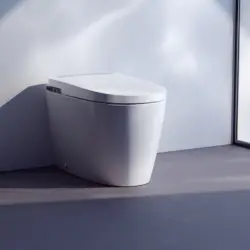 Laufen Alvia, In-Tank douchetoilet, gulvstående m/LCC og Silent