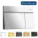 Hansgrohe iFrame Element E, betjeningsplade, Krom
